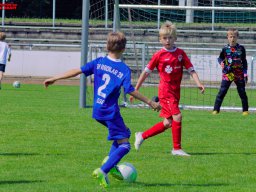 Hillen Cup 2024